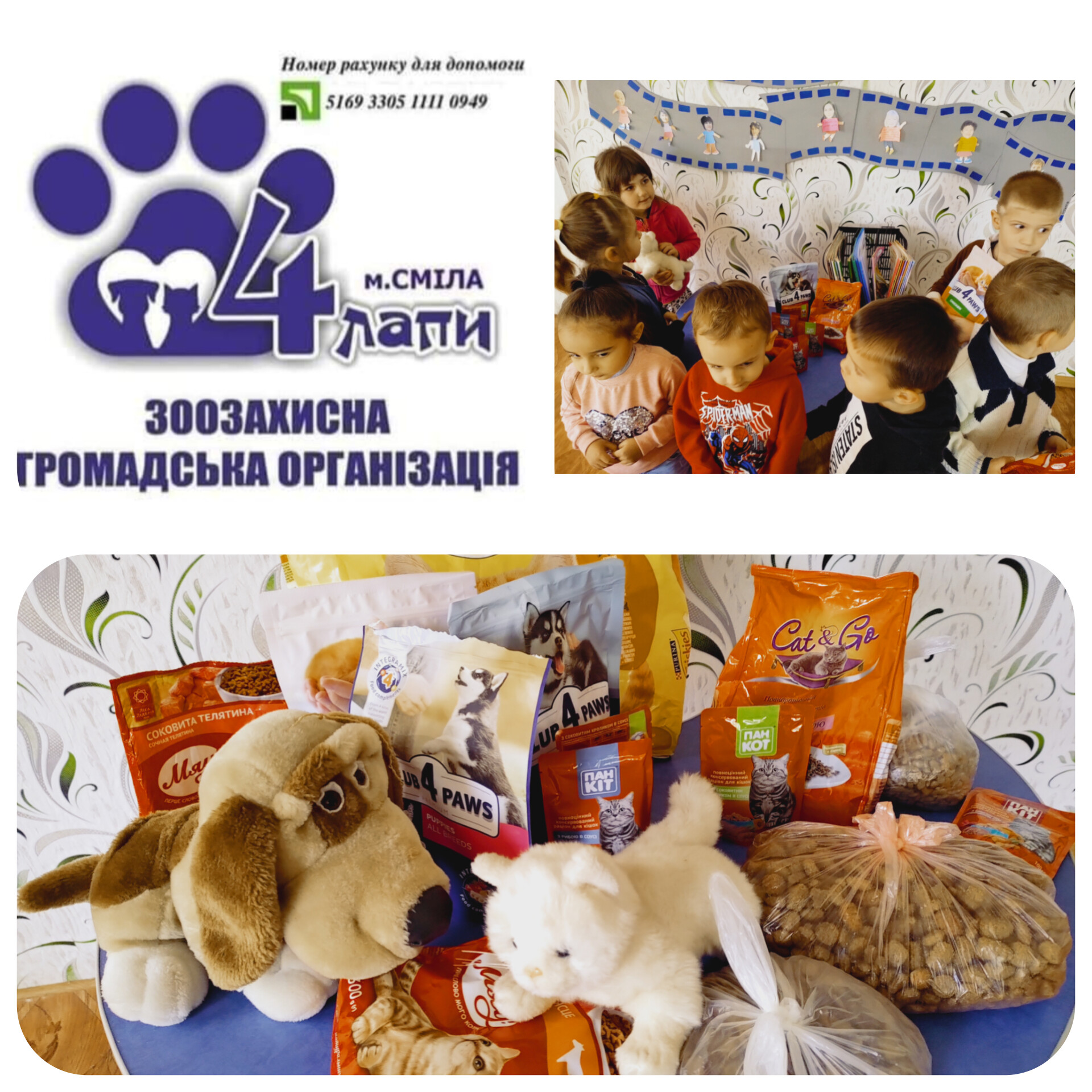 InShot_20241025_145154541